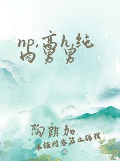 np,高h,纯肉男男