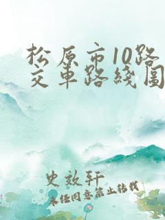 松原市10路公交车路线图