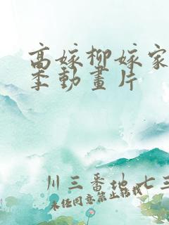 高嫁柳嫁家第二季动画片
