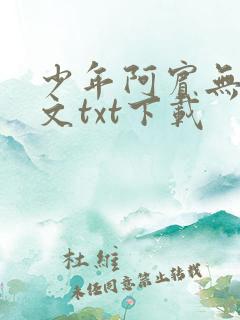 少年阿宾无删全文txt下载