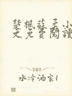 楚枫苏柔小说全文免费阅读