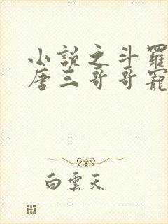 小说之斗罗:被唐三哥哥宠上天