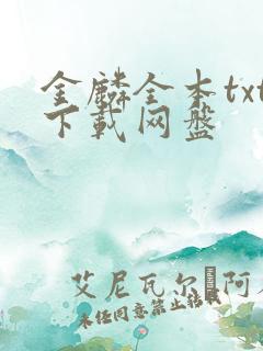 金麟全本txt下载网盘