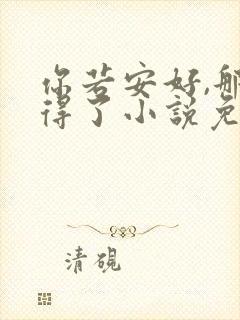 你若安好,那还得了小说免费阅读