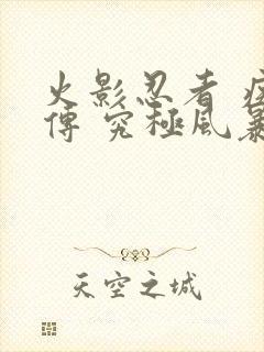 火影忍者 疾风传 究极风暴2下载