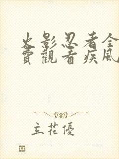 火影忍者全集免费观看疾风传