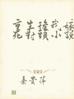 重生后我嫁给了死对头小说版