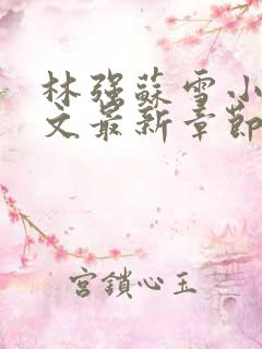 林强苏雪小说全文最新章节