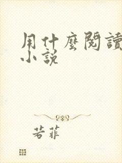 用什么阅读器看小说