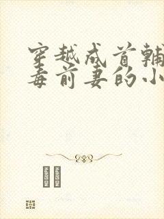 穿越成首辅的恶毒前妻的小说