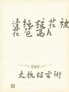 清纯校花被迫开花苞高h