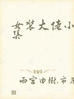 女装大佬小说合集