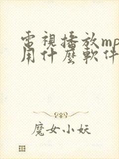 电视播放mp4用什么软件