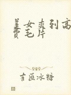 美女爽到高潮免费毛片