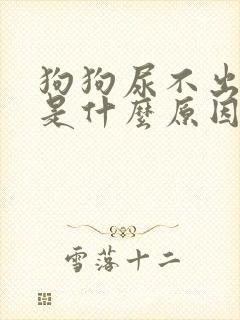 狗狗尿不出来尿是什么原因