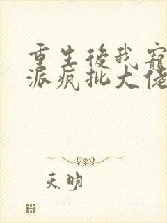 重生后我宠上反派疯批大佬