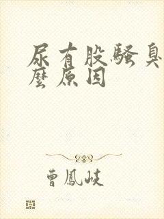 尿有股骚臭味什么原因