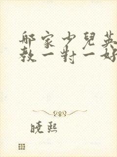 哪家少儿英语外教一对一好