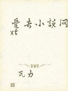 爱去小说网站txt