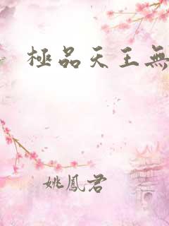 极品天王无弹窗