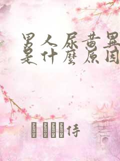 男人尿黄异味重是什么原因