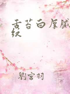 舌苔白厚腻有裂纹