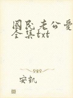 国民老公爱上我全集txt