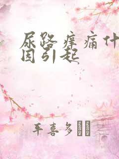 尿路痒痛什么原因引起