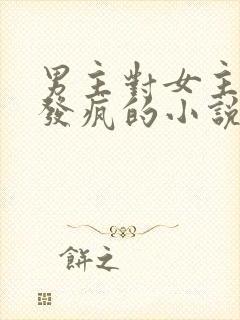 男主对女主爱到发疯的小说