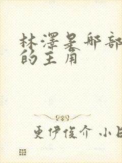 林泽是哪部小说的主角