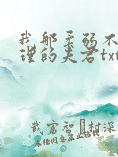 我那柔弱不能自理的夫君txt