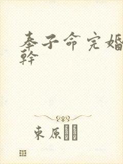 奉子命完婚 高干