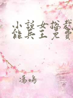 小说女总裁的全能兵王免费