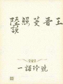 陆照菱晋王的小说