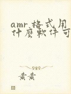 amr 格式用什么软件可以播放