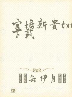 官场新贵txt下载