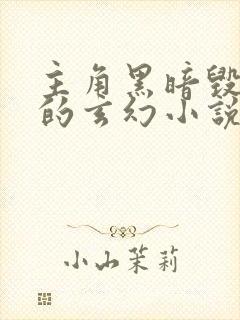 主角黑暗毁三观的玄幻小说