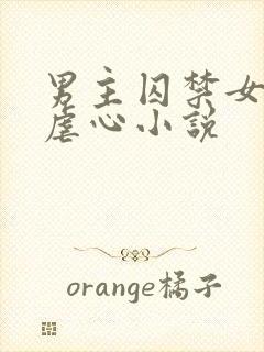 男主囚禁女主的虐心小说