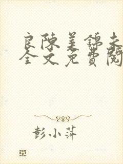 良陈美锦未删减全文免费阅读