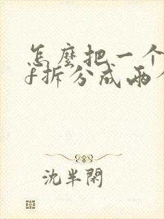 怎么把一个pdf拆分成两个