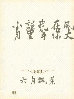 小说我在风花雪月里等你大结局