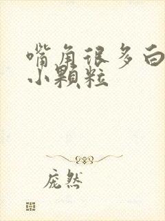 嘴角很多白色的小颗粒