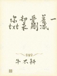 你却爱着一个他txt未删减