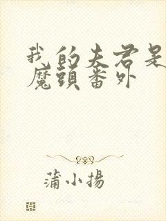 我的夫君是灭世魔头番外