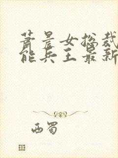 萧晨女总裁的全能兵王最新