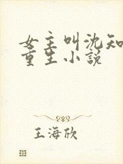 女主叫沈知鸢的重生小说