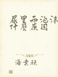 尿里面泡沫多是什么原因