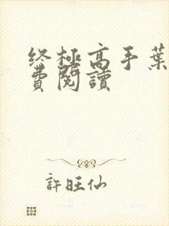 终极高手叶枫免费阅读