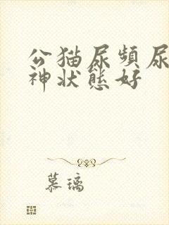 公猫尿频尿少精神状态好