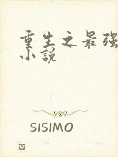 重生之最强仙帝小说